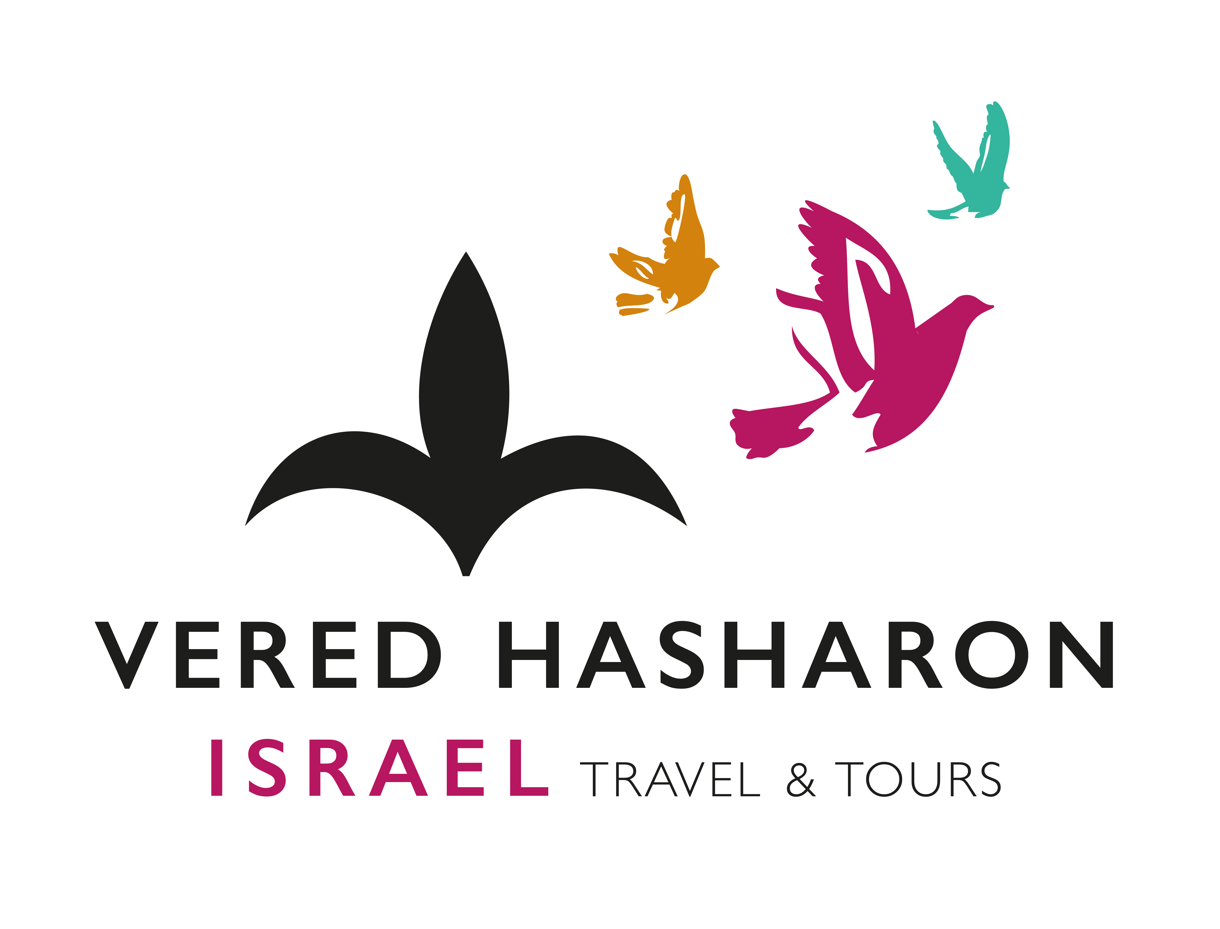 Winner small image - Vered Hasharon – Veredgo